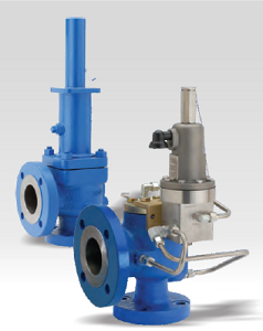 Safety Valves and Pressure Protection Equipment